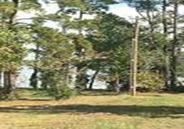 5th image of 1867 Fm-3186, Onalaska, TX 77360 | MLS# 70771422