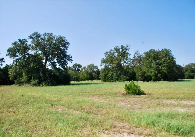 Homes for sale in Schulenburg, TX | Tract 1 Harvell Ln, Schulenburg, TX 78956 | MLS# 27885274