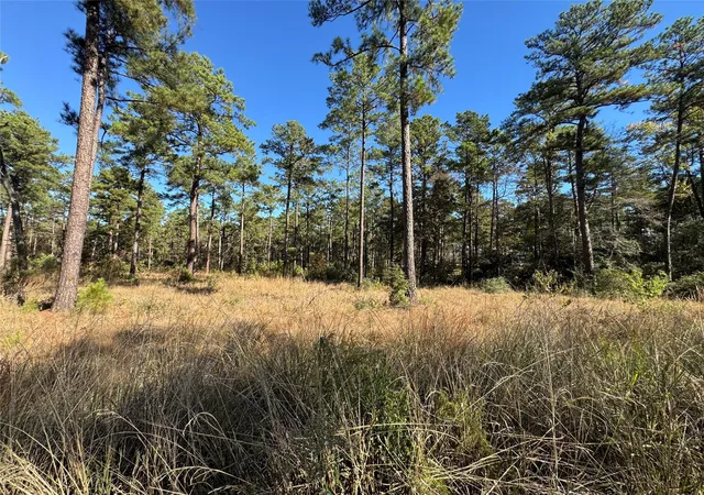 Homes for sale in Brookeland, TX | 065 Private Road 6026, Brookeland, TX 75931 | MLS# 41042459