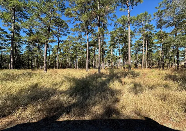 Homes for sale in Brookeland, TX | 065 Private Road 6026, Brookeland, TX 75931 | MLS# 41042459