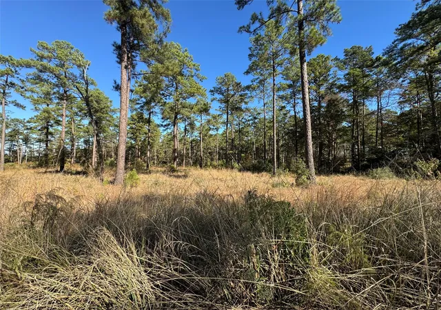 Homes for sale in Brookeland, TX | 065 Private Road 6026, Brookeland, TX 75931 | MLS# 41042459