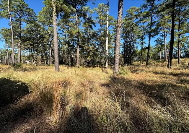 3rd image of 065 Private Road 6026, Brookeland, TX 75931 | MLS# 41042459