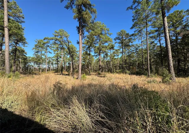 5th image of 065 Private Road 6026, Brookeland, TX 75931 | MLS# 41042459