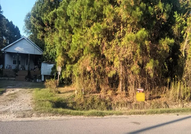 Photo 10 of Land for sale at 49 County Rd 3479a, Cleveland, TX 77327 | MLS# 10499395 | Listing updated on 2026-06-09