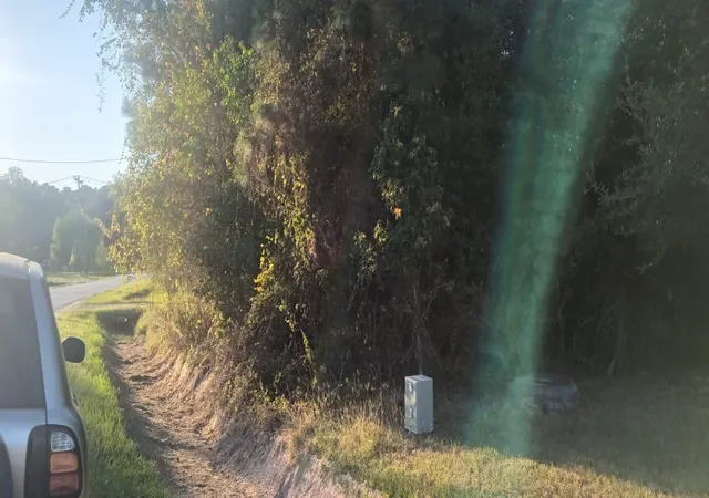 Photo 2 of Land for sale at 49 County Rd 3479a, Cleveland, TX 77327 | MLS# 10499395 | Listing updated on 2026-06-09