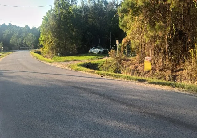 Photo 3 of Land for sale at 49 County Rd 3479a, Cleveland, TX 77327 | MLS# 10499395 | Listing updated on 2026-06-09
