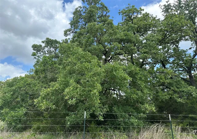 5th image of 0000 County Road 133, Giddings, TX 78942 | MLS# 12240537