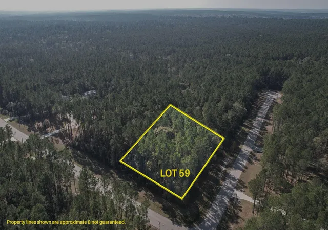 Photo 2 of Land for sale at 12 22 59 Grey Feather Rd, Huntsville, TX 77340 | MLS# 33016181 | Listing updated on 2026-09-28