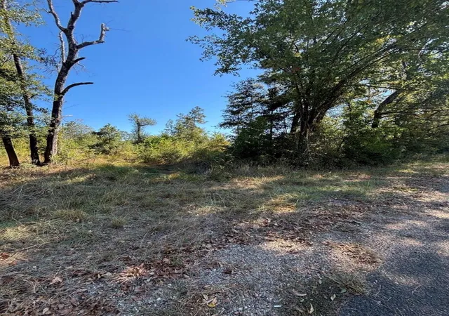 4th image of 0 Old Hwy 35 N, Livingston, TX 77351 | MLS# 41948220