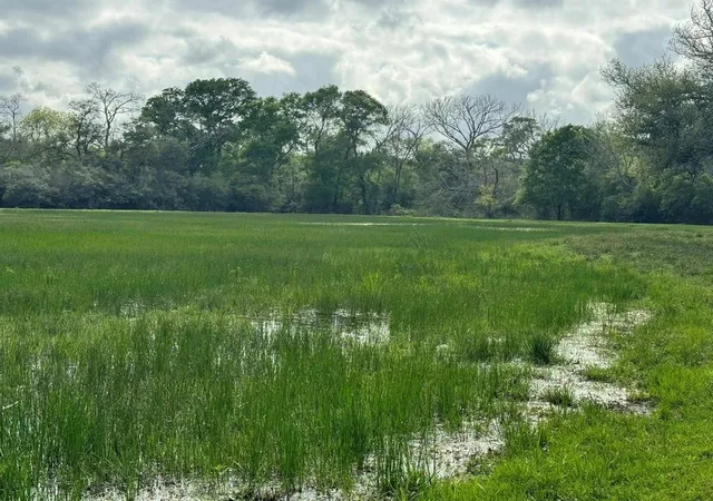 1st image of Tbd County Road 394, El Campo, TX 77437 | MLS# 81269102