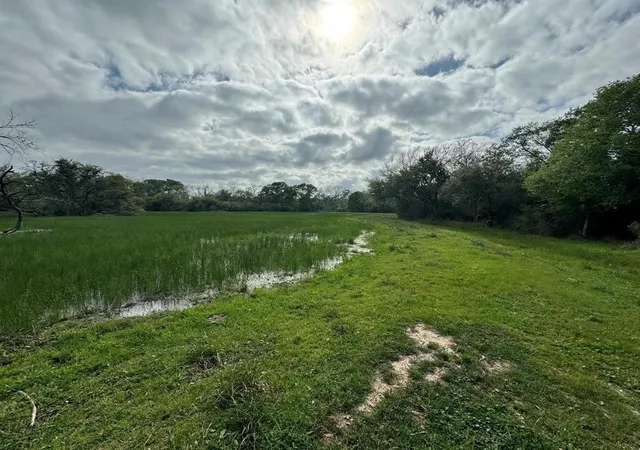 3rd image of Tbd County Road 394, El Campo, TX 77437 | MLS# 81269102