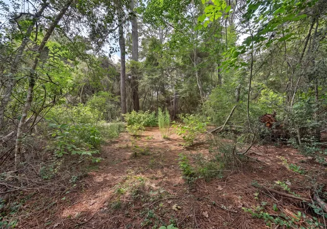 Photo 2 of Land for sale at Lot Four, 3340 County Road 325, Navasota, TX 77868 | MLS# 68361144 | Listing updated on 2026-09-01