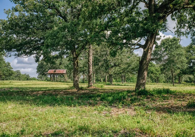 50th image of 00 Fm 39, Mexia, TX 76667 | MLS# 29449195