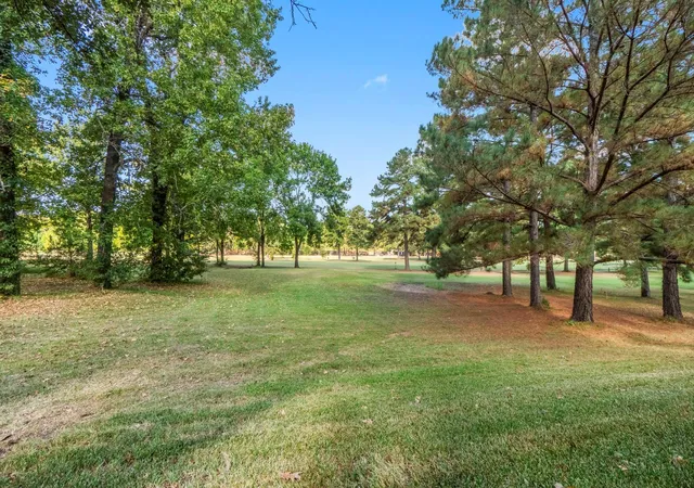 47th image of 132 Mockingbird Ln, Livingston, TX 77351 | MLS# 79422109