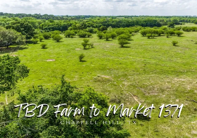 1st image of Tbd Farm To Market 1371, Chappell Hill, TX 77426 | MLS# 86288710