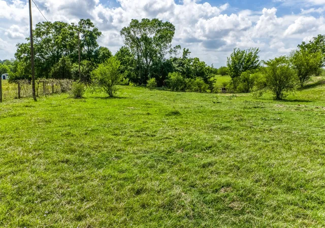 4th image of Tbd Farm To Market 1371, Chappell Hill, TX 77426 | MLS# 86288710