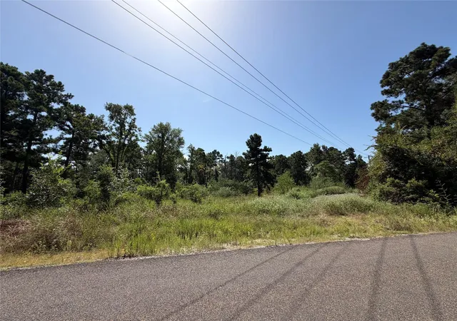 Photo 4 of Land for sale at 175 Hanson Rd, Onalaska, TX 77360 | MLS# 18017861 | Listing updated on 2026-08-24