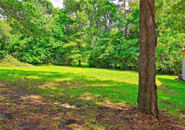 5th image of 81 E Bishop Rd, Pointblank, TX 77364 | MLS# 45714667