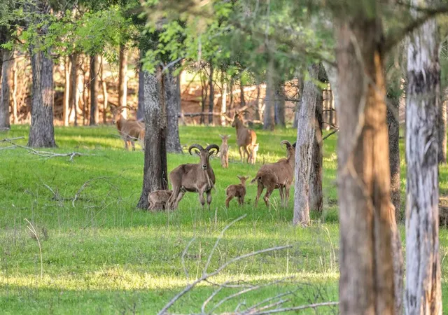 Photo 4 of Land for sale at 1692 E Hwy 79, Rockdale, TX 76567 | MLS# 61239687 | Listing updated on 2026-09-15