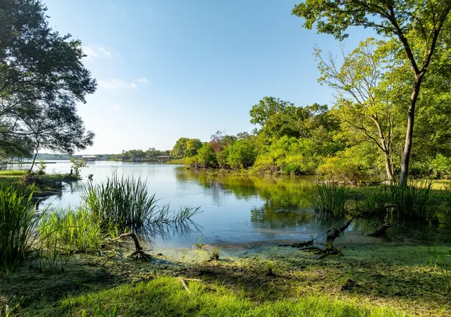 Photo 1 of Land for sale at Tbd County Road 750, Thornton, TX 76687 | MLS# 91424374 | Listing updated on 2026-09-19