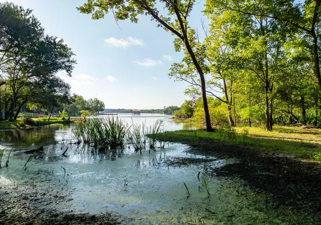 Photo 3 of Land for sale at Tbd County Road 750, Thornton, TX 76687 | MLS# 91424374 | Listing updated on 2026-09-19