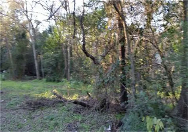 Photo 1 of Land for sale at 0000 Danover St, Katy, TX 77494 | MLS# 21579714 | Listing updated on 2026-06-24