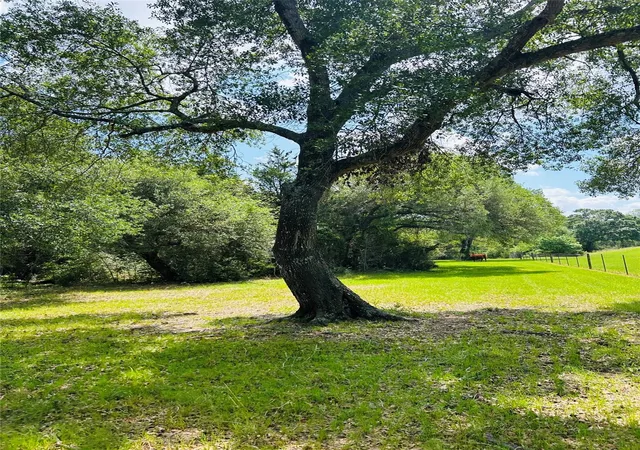 Photo 2 of Land for sale at 32 Acres Dunlavy, Cat Spring, TX 78933 | MLS# 25406278 | Listing updated on 2026-08-10