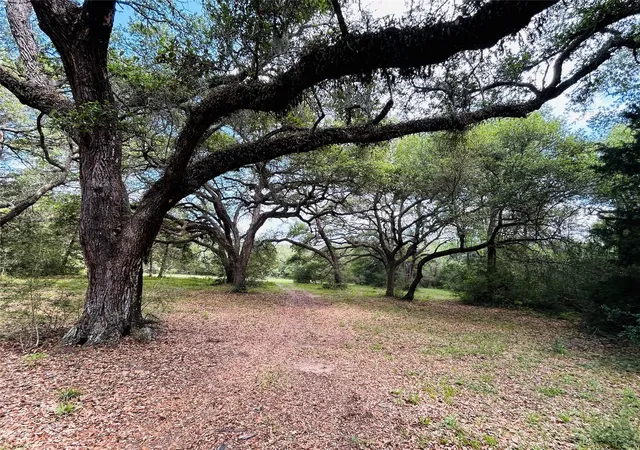 Photo 3 of Land for sale at 32 Acres Dunlavy, Cat Spring, TX 78933 | MLS# 25406278 | Listing updated on 2026-08-10