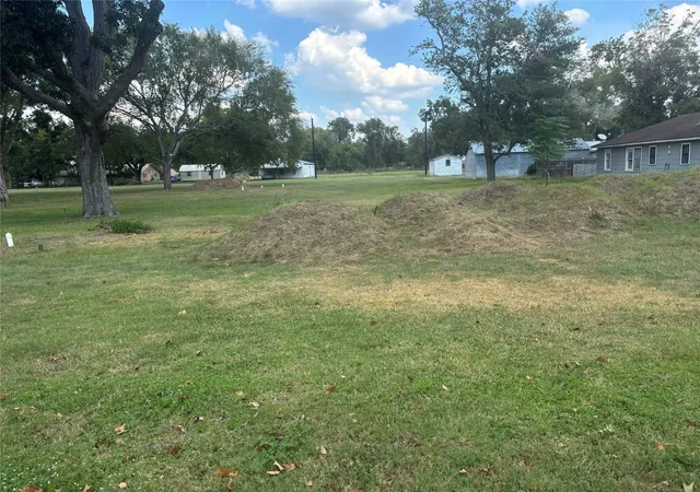 5th image of N/A Live Oak St, Columbus, TX 78934 | MLS# 53779647