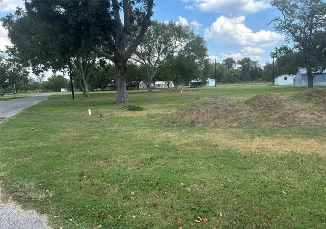 6th image of N/a Live Oak St, Columbus, TX 78934 | MLS# 53779647