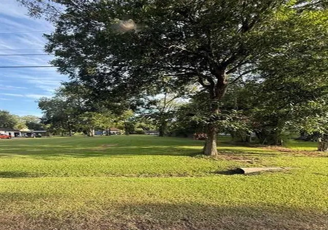 1st image of Tbd Cora Lee St, Sour Lake, TX 77659 | MLS# 47208944