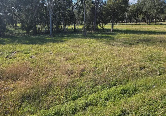 Homes for sale in Alvin, TX | 3828 County Road 326 Lot 16, Alvin, TX 77511 | MLS# 8690987