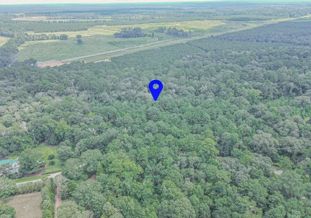 Photo 3 of Land for sale at 0 Peach Creek Dr, Conroe, TX 77303 | MLS# 39219274 | Listing updated on 2026-04-04