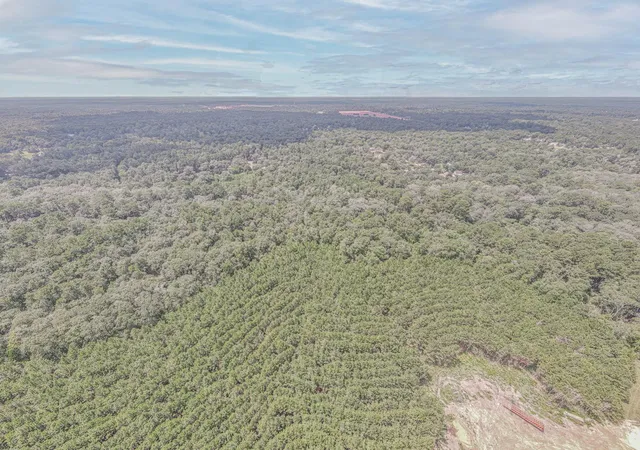 Photo 4 of Land for sale at 0 Peach Creek Dr, Conroe, TX 77303 | MLS# 39219274 | Listing updated on 2026-04-04