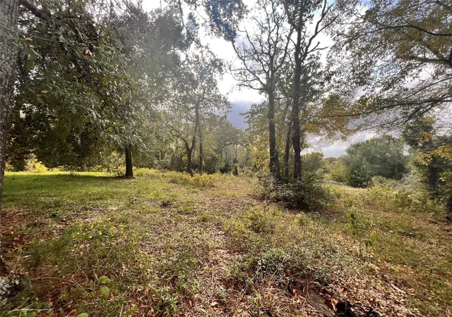 3rd image of 13701 Cr 349, Jewett, TX 75846 | MLS# 33442281