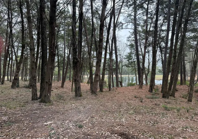 Photo 2 of Land for sale at Lot 7 Block 2 Evergreen Hl Ln, Willis, TX 77378 | MLS# 9383396 | Listing updated on 2026-07-29