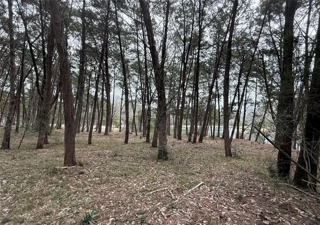 Photo 3 of Land for sale at Lot 7 Block 2 Evergreen Hl Ln, Willis, TX 77378 | MLS# 9383396 | Listing updated on 2026-07-29
