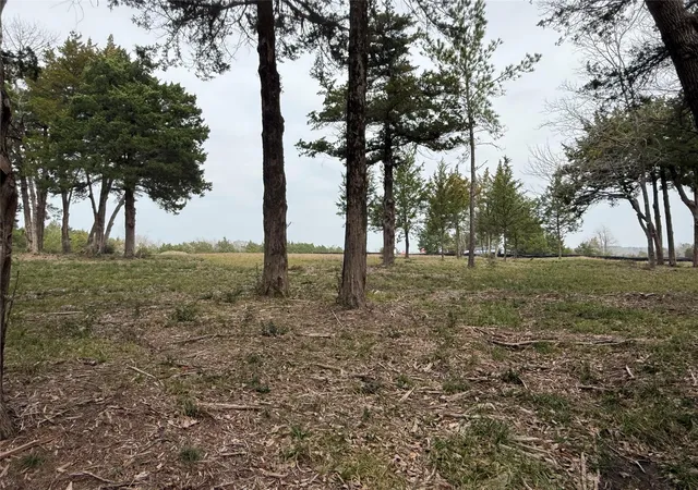 Photo 4 of Land for sale at Lot 7 Block 2 Evergreen Hl Ln, Willis, TX 77378 | MLS# 9383396 | Listing updated on 2026-07-29
