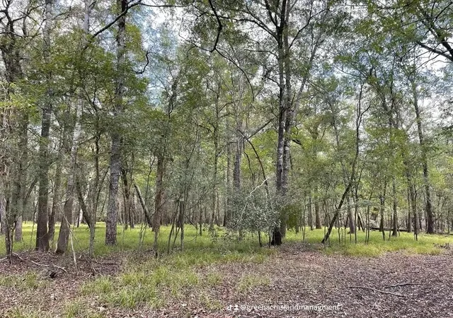 Photo 1 of Land for sale at 0 Road 2613, Cleveland, TX 77327 | MLS# 47992220 | Listing updated on 2026-06-16