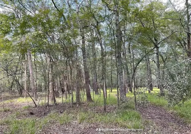 Photo 2 of Land for sale at 0 Road 2613, Cleveland, TX 77327 | MLS# 47992220 | Listing updated on 2026-06-16