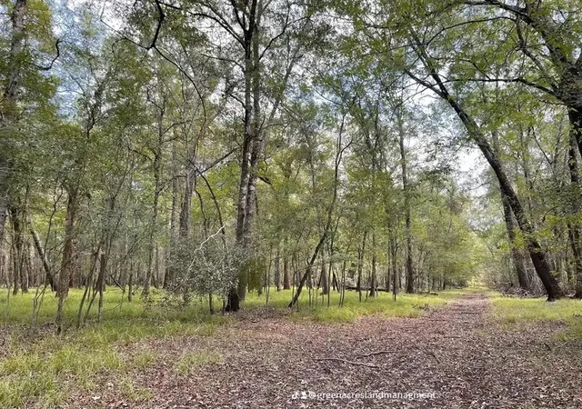 Photo 3 of Land for sale at 0 Road 2613, Cleveland, TX 77327 | MLS# 47992220 | Listing updated on 2026-06-16