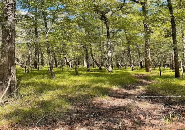 Photo 3 of Land for sale at 0 Road 2613, Cleveland, TX 77327 | MLS# 47992220 | Listing updated on 2026-06-16