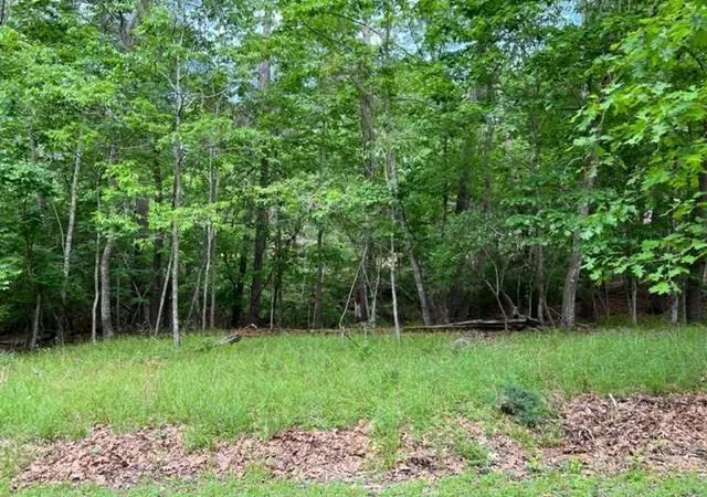 Photo 2 of Land for sale at 10 Castaway Ln, Coldspring, TX 77331 | MLS# 81001502 | Listing updated on 2026-06-22