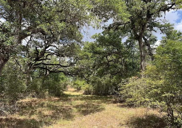 Homes for sale in Hallettsville, TX | 00 Private Road 1581 Road, Hallettsville, TX 77964 | MLS# 48674270