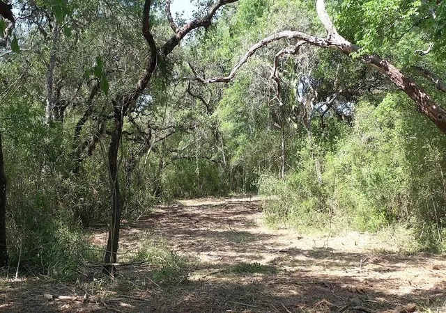 Homes for sale in Hallettsville, TX | 00 Private Road 1581 Road, Hallettsville, TX 77964 | MLS# 48674270