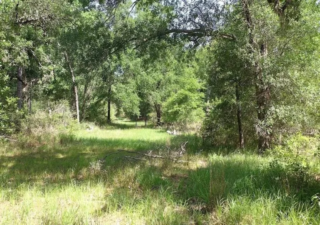 Homes for sale in Hallettsville, TX | 00 Private Road 1581 Road, Hallettsville, TX 77964 | MLS# 48674270