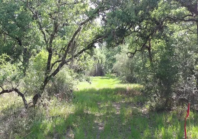Homes for sale in Hallettsville, TX | 00 Private Road 1581 Road, Hallettsville, TX 77964 | MLS# 48674270