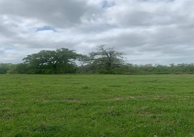 Photo 3 of Land for sale at 25572 Johnson Rd, Montgomery, TX 77356 | MLS# 57849825 | Listing updated on 2026-05-17