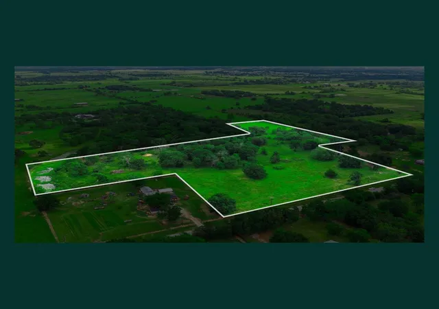 5th image of 36980 Wyatt Chapel Rd, Hempstead, TX 77445 | MLS# 75100017