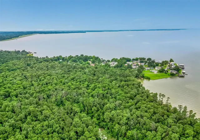15th image of 0 Fm 3126, Livingston, TX 77351 | MLS# 67883146